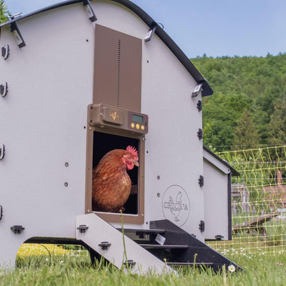 Poulailler en plastique 4 poules