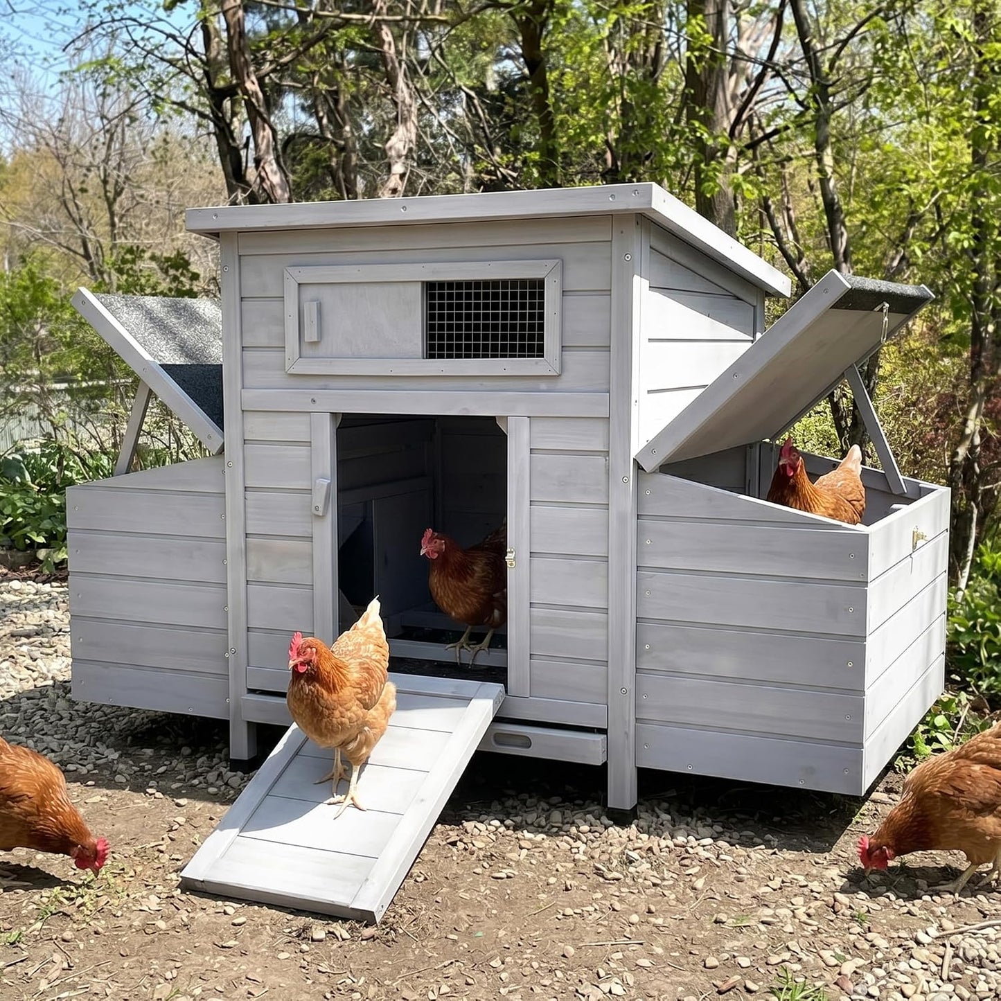 Poulailler en bois